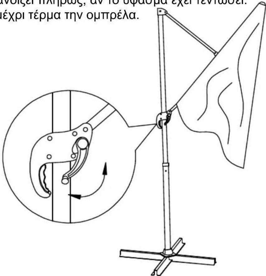 SCHNEIDER Rhodos Junior - Avoiya: - 3