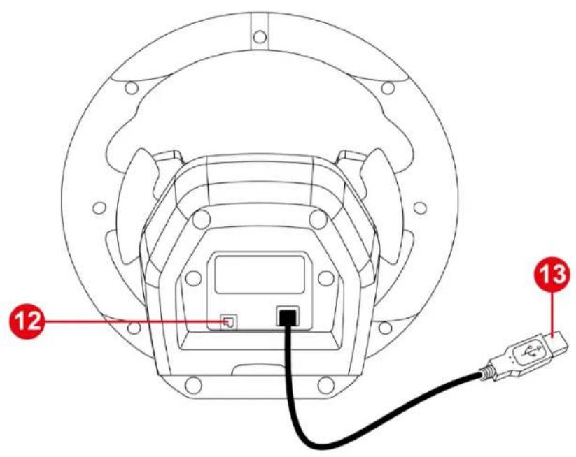 Technical diagram of a device with labeled components, showing internal wiring and connection points 12 and 13.