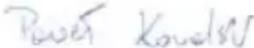 NEO tools 12K0211 - EO deknapaun 3a cboTBetCTBne - 1