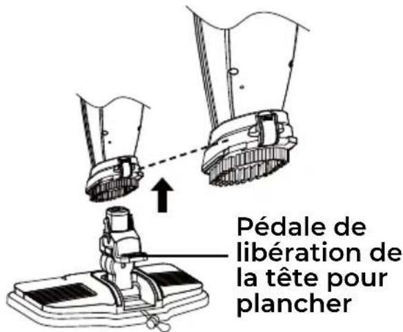 KENMORE SM2060 - REMARQUE : La brosse pour taches est fixée au corps principal et ne peut pas être retirée. - 1