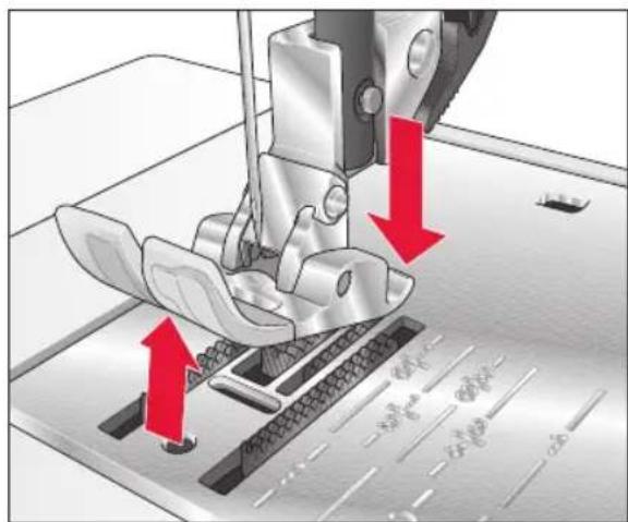 PFAFF Select 4.2 - Dégagement du pied presseur - 1