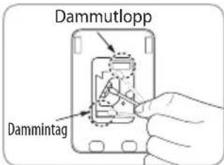 Dammutlopp Dammintag