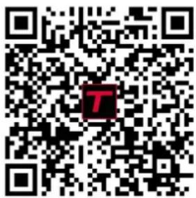THOMSON HR10T16 - RECYCLING (VERWIJDERING VAN HET PRODUCT AAN HET EINDE VAN DE LEVENSDUUR) - 2