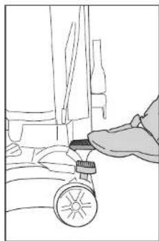 EUREKA PowerSpeed NEU182C - How to use your vacuum cleaner - 3