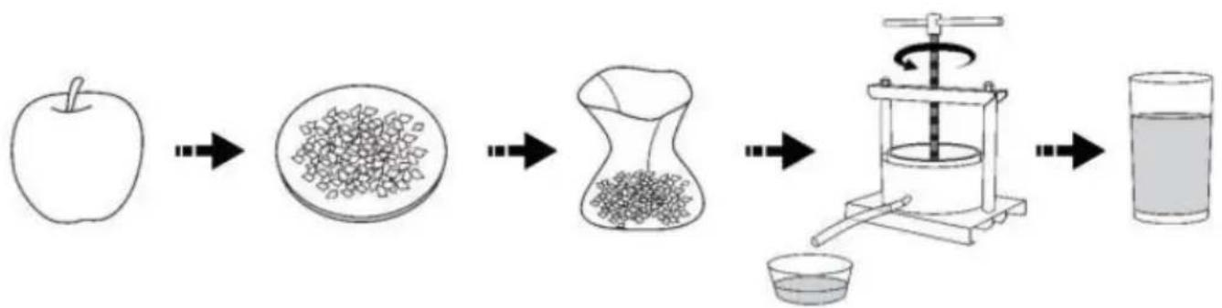 Vevor YZQ2L - Fruit press procedure: - 1