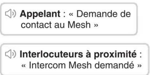 Appelant : « Demande de contact au Mesh » Interlocuteurs à proximité : « Intercom Mesh demandé »