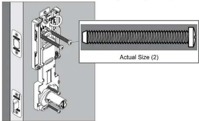 Actual Size (2)