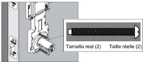 Tamaño real (2) Taille réelle (2)