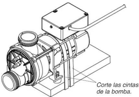KOHLER Mariposa K1239 - Prepare el sitio - 1