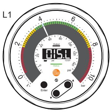 IFM PG1401 - Layout del display - 1