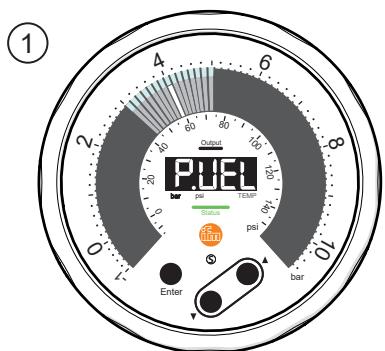 IFM PG1401 - Dynamischer LED-Zeiger - 2