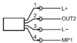 IFM PG1401 - Raccordement électrique - 3