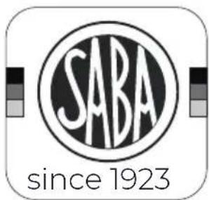 SABA DFV606023BK - Correct disposal of this product - 3