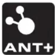 PIONEER SBTLT91 - Technische Daten und Support - 1