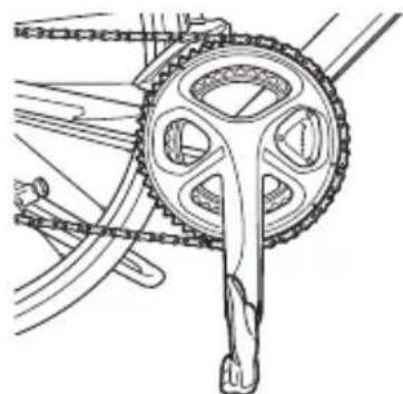 PIONEER SBTLT91 - イーニングアムを地面に對て垂直にた位置で止る - 1