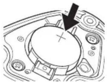 PIONEER SBTLT91 - Coloque la baterianea (CR2032). - 1