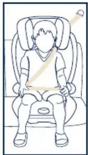 Nuna AACE - Use as a High Back Belt Positioning Booster - 1