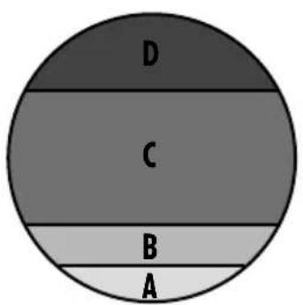 D C B A