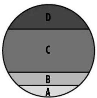 D C B A