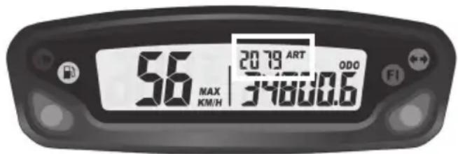 Sherco 125 SER (2019) - FunciON DST2 diario kilometrico (pantalla 2): - 3