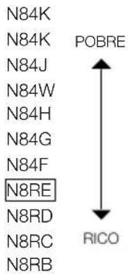 N84K N84K N84J N84W N84H N84G N84F N8RE N8RD N8RC N8RB POBRE RICO