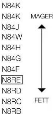 N84K N84K N84J N84W N84H N84G N84F N8RE N8RD N8RC N8RB MAGER FETT
