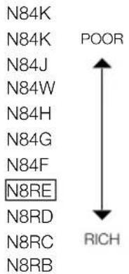 N84K N84K N84J N84W N84H N84G N84F N8RE N8RD N8RC N8RB POOR RICH