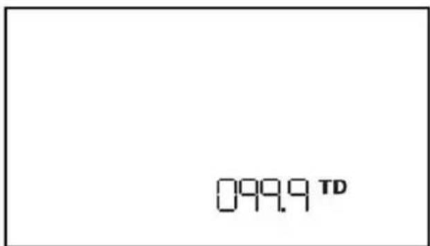 099.9 TD
