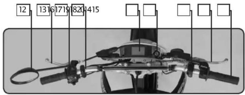 12 13161719820415