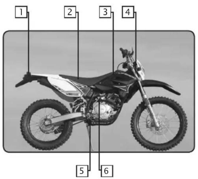 1 2 3 4 5 6