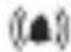 SWITEL WTE2353 - Technische Daten - 2