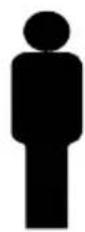 FLORABEST IAN 332842 - KINDER-HANGGROT - 1