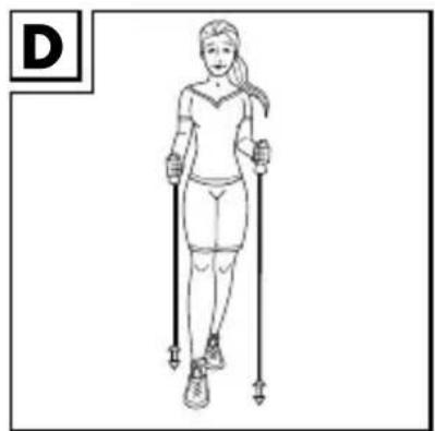 CRIVIT IAN 337701 - • Beklimming/afdaling (afb. F/G) - 16