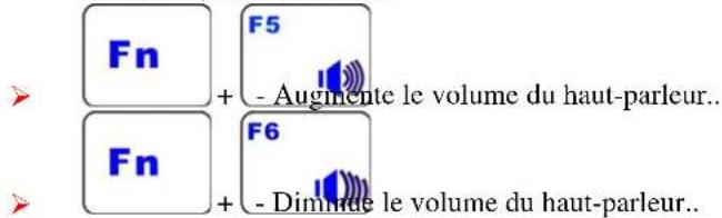 ECS V10IL1 - REMARQUE.... - 2