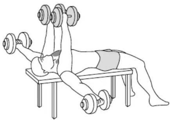 CRIVIT HG05677 - KURZHANTEL-SET, 10,5 KG / 10.5 KG DUMBBELL SET / SET D'HALTÈRES, 10,5 KG - 3
