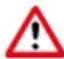 CRIVIT IAN 317022 - Risque de blessure ! - 1