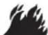 GE Profile PTD70GBSTWS - ▲ AVERTISSEMENT - 1