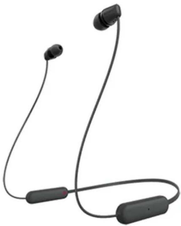 SONY WIC100 - 1