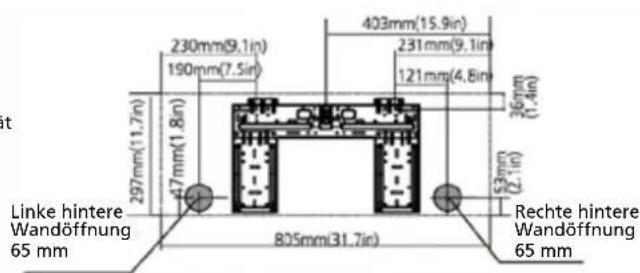 230mm(9.1in) 190mm(7.5in) 403mm(15.9in) 231mm(9.1in) 121mm(4.8in) 36mm(1.4in) 297mm(11.7in) 47mm(1.8in) 805mm(31.7in) 53mm(2.1in) Linke hintere Wandöffnung 65 mm Rechte hintere Wandöffnung 65 mm