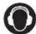 RYOBI RLM3313A - SIMBOLURILE DE PE PRODUS. - 2