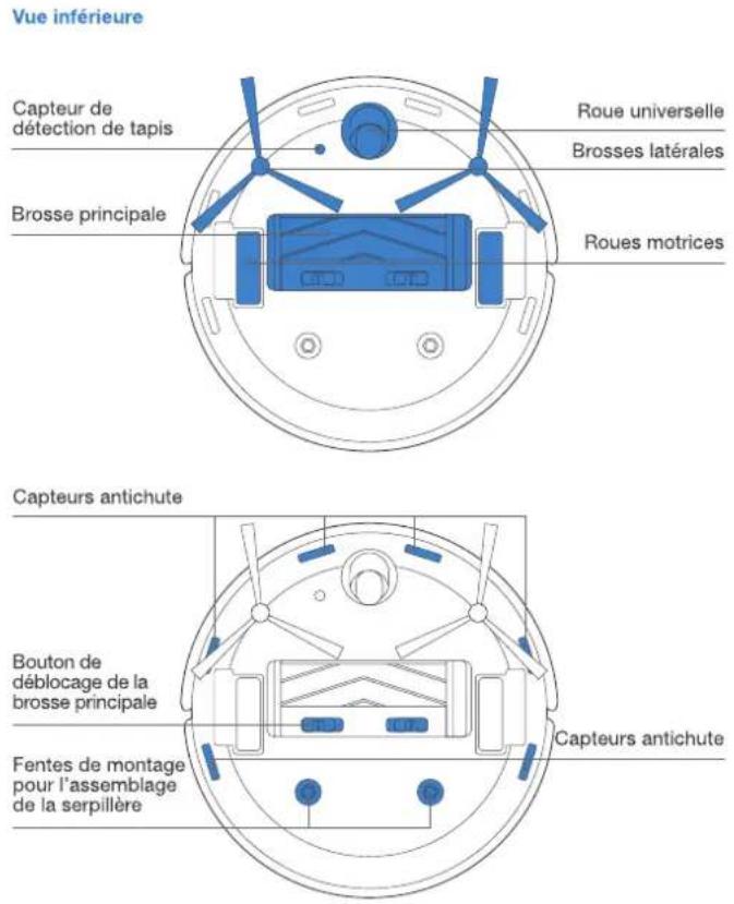 Vue inférieure Capteur de détection de tapis Brosse principale Roue universelle Brosses latérales Roues motrices Capteurs antichute Bouton de déblocage de la brosse principale Fentes de montage pour l'assemblage de la serpillère Capteurs antichute