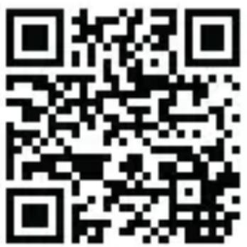 MEDION LIFE P66096 (MD 43881) - Serviceinformationen - 1
