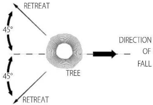 RETREAT 45° 45° RETREAT TREE DIRECTION OF FALL