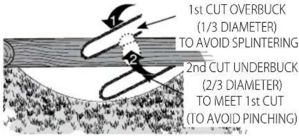 1st CUT OVERBUCK (1/3 DIAMETER) TO AVOID SPLINTERING 2nd CUT UNDERBUCK (2/3 DIAMETER) TO MEET 1st CUT (TO AVOID PINCHING)