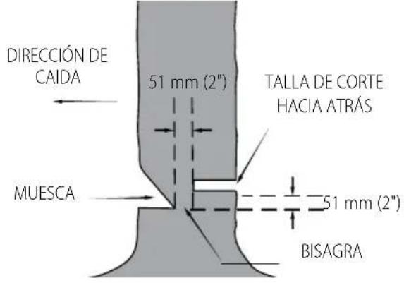 DIRECCIÓN DE CAIDA 51 mm (2") TALLA DE CORTE HACIA ATRÁS MUESCA 51 mm (2") BISAGRA