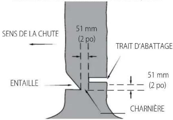 Craftsman CMCCS610 - FRAnÇAis - 1