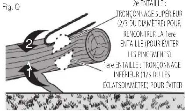 Craftsman CMECSP610 - Ébranchage - 4