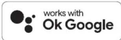 works with Ok Google