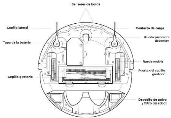 Sensores de borde Cepillo lateral Tapa de la batería Cepillo giratorio Contacto de carga Rueda pivotante delantera Rueda motriz Puerta del cepillo giratorio Depósito de polvo y filtro del robot