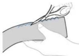 BABY LOCK Verve - Points feston - 3